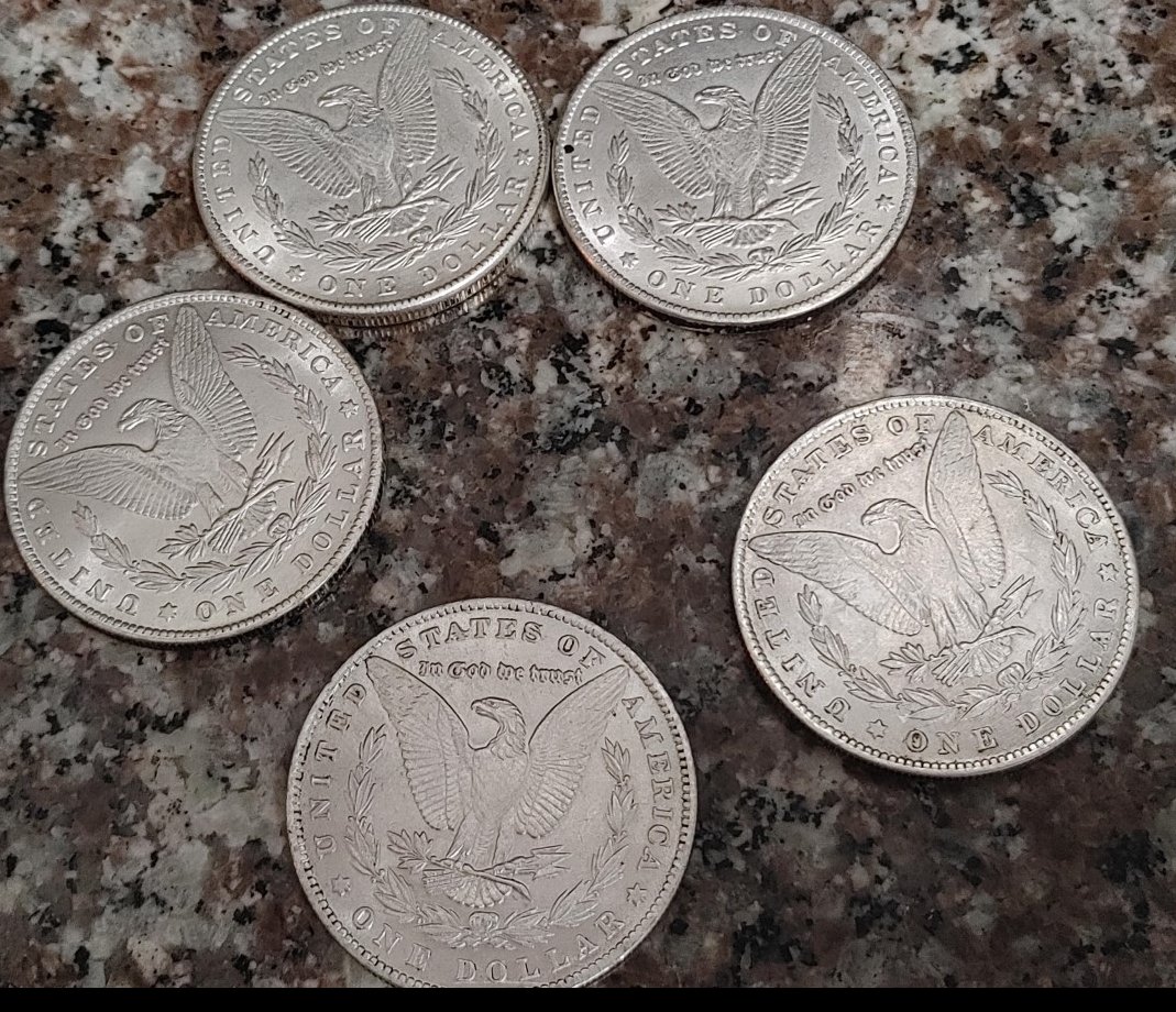 1895-Morgan-Dollar-Possible-Fake?