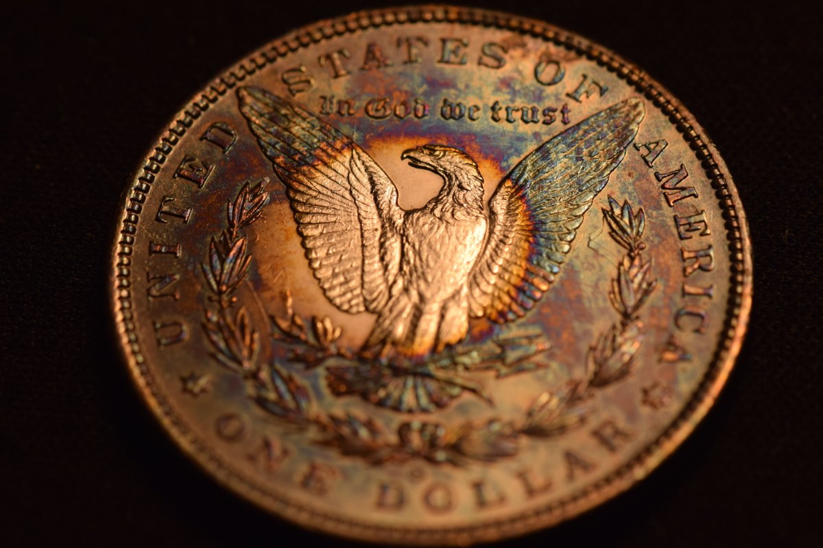 1886-O-Morgan-For-Grading