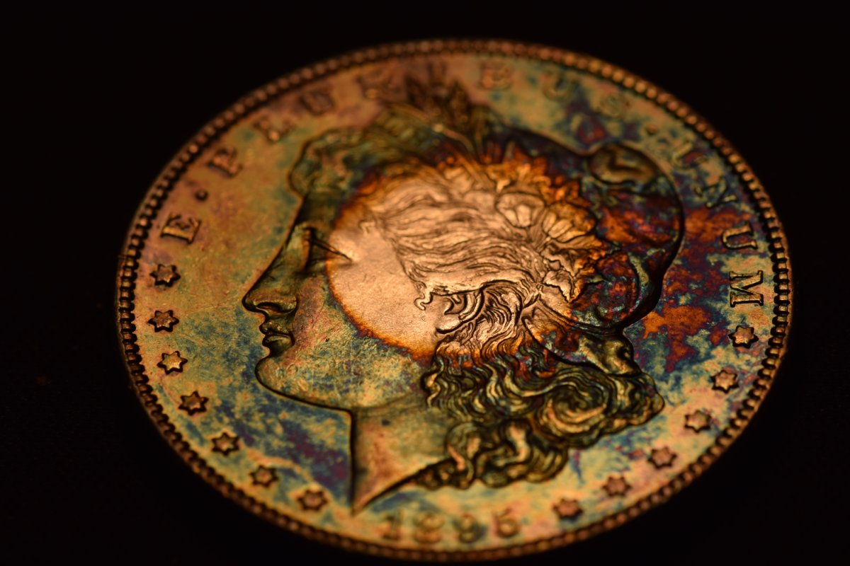 1895-S-Morgan-For-Possible-Submission