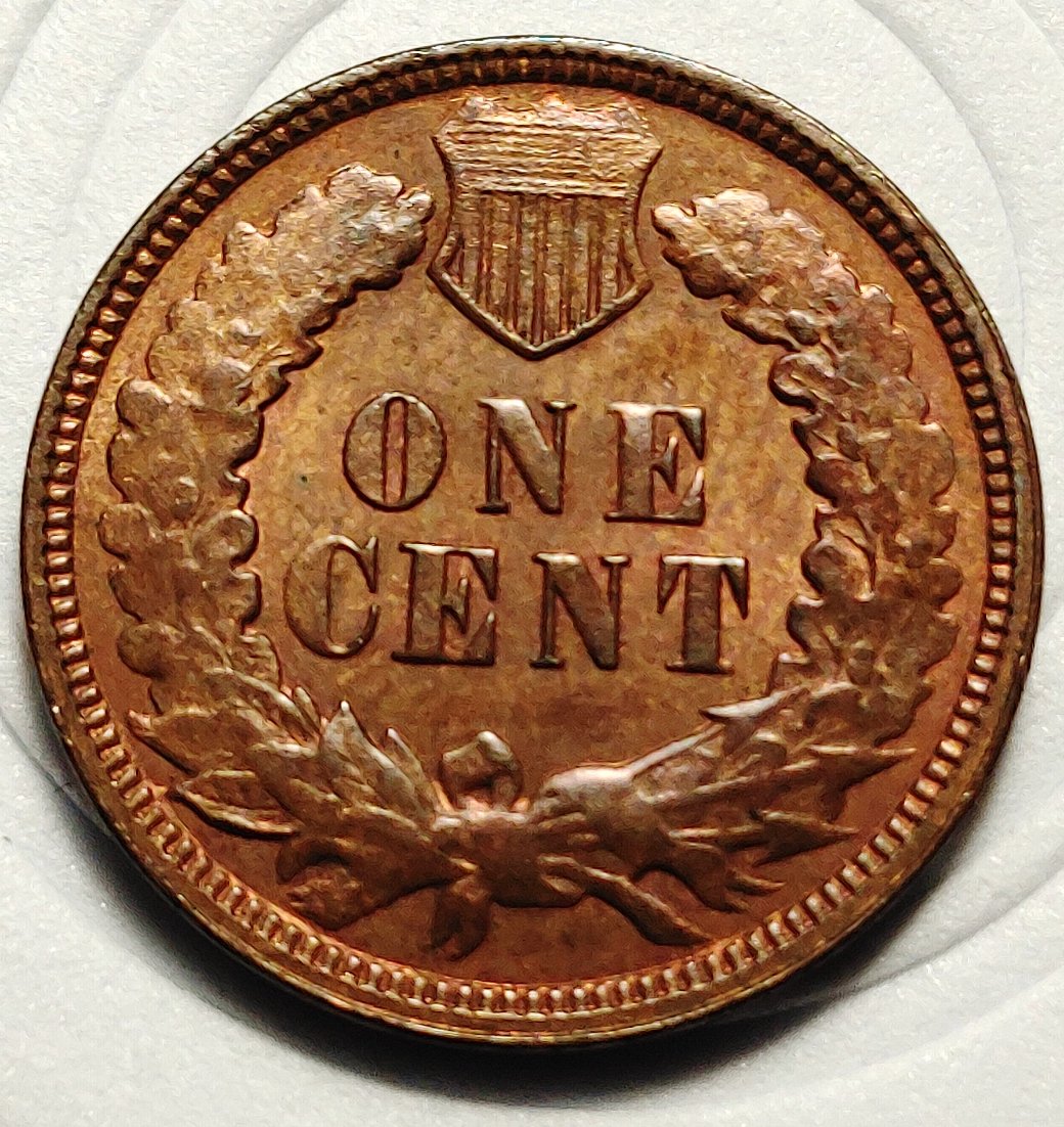 1886-And-1909-Indian-Head-Cents-For-Grading