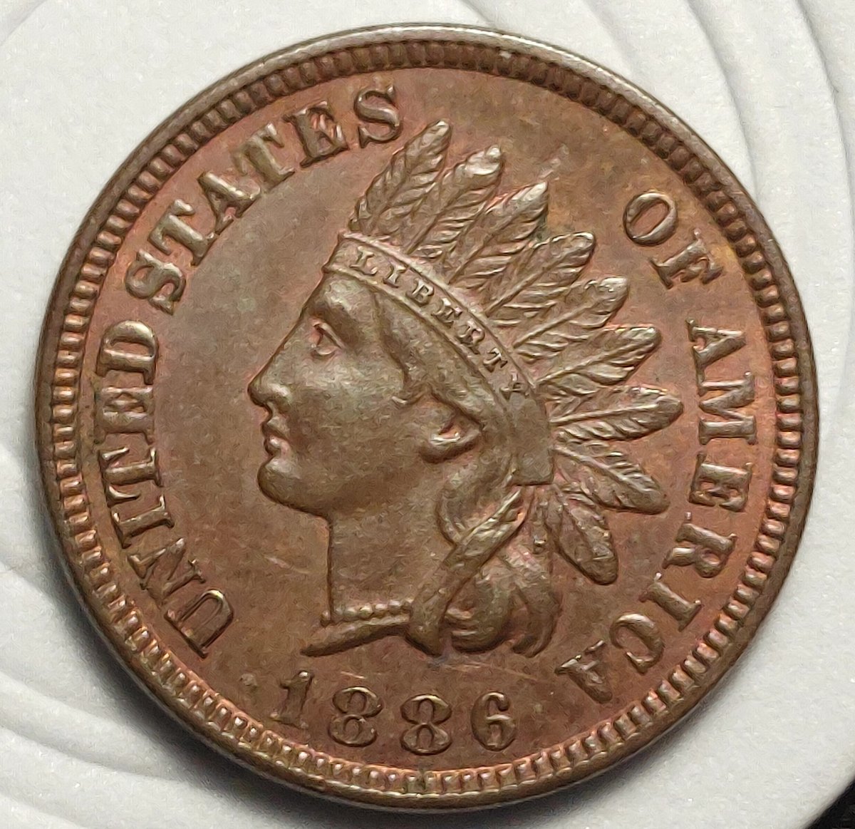 1886-And-1909-Indian-Head-Cents-For-Grading