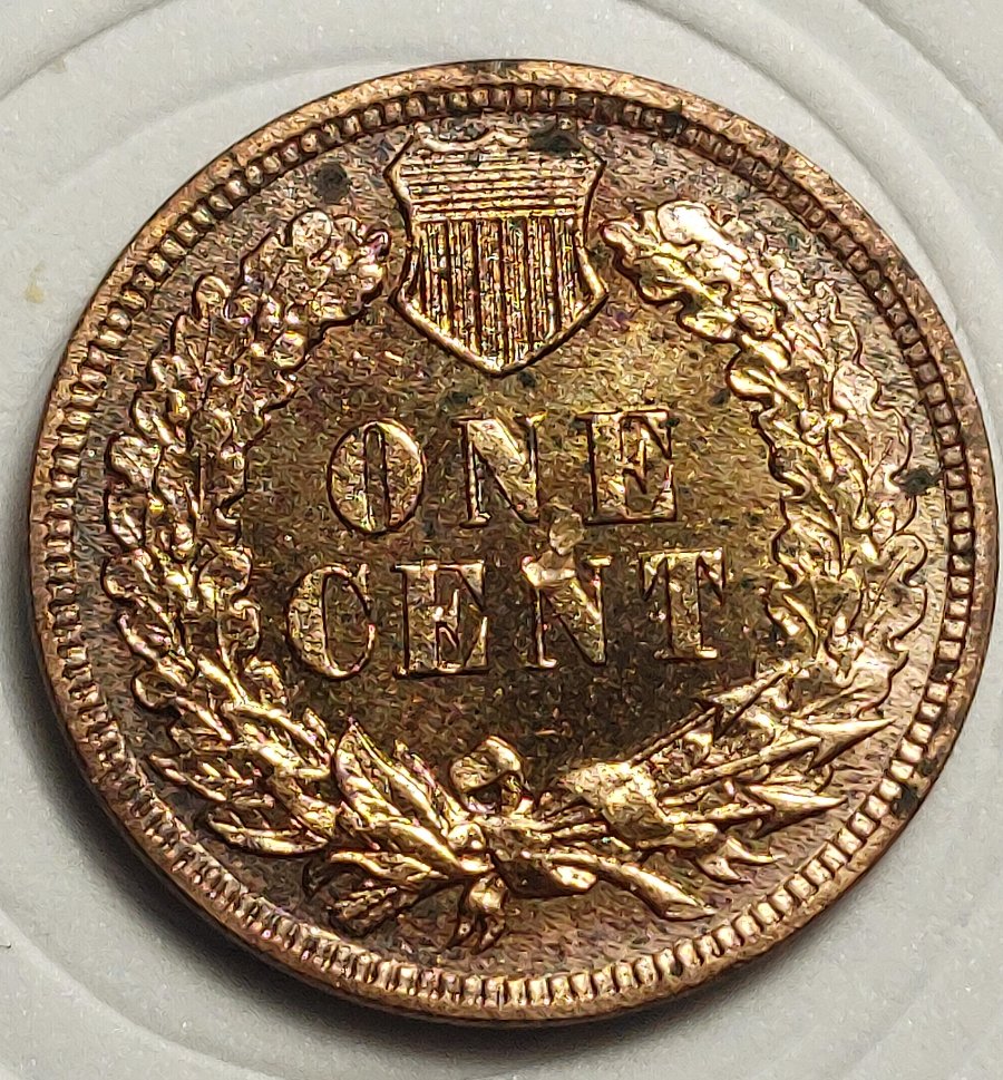 1886-And-1909-Indian-Head-Cents-For-Grading