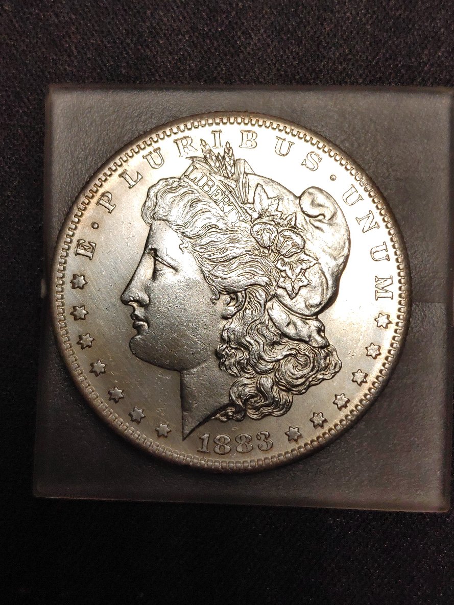 1883-S-Morgan-Dollar-For-Encapsulation