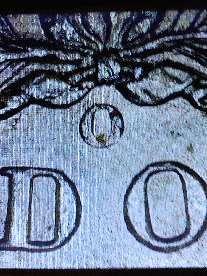 Possible-1899-O-Micro-O-Morgan-Dollar