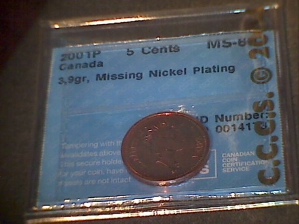 Great-Ebay-Purchases