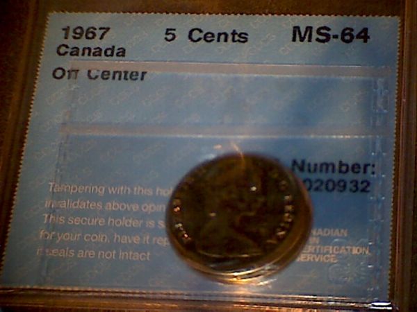 Great-Ebay-Purchases
