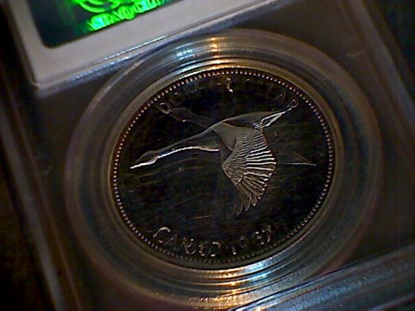 1967-Double-Struck-Dollars-For-PCGS...-Question