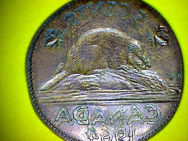 Days-Of-Error-Coins!