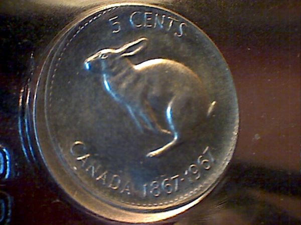 Days-Of-Error-Coins!