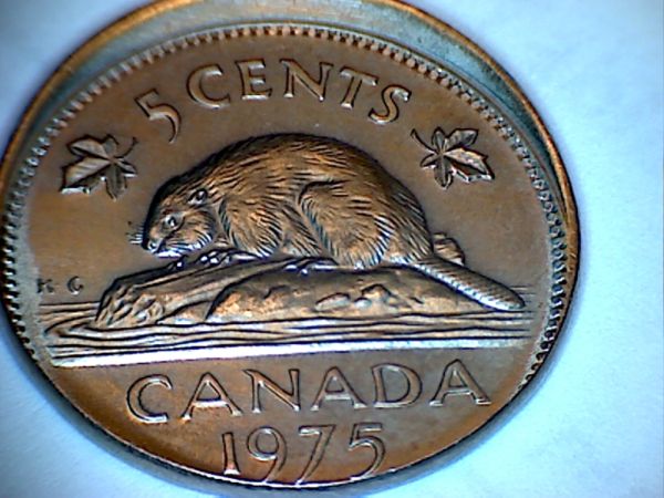 Help-Grade-This-Error-Nickel?