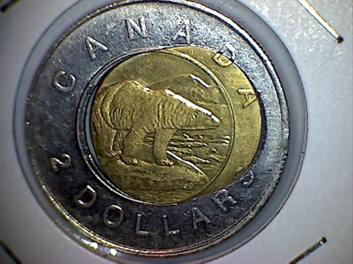 Toonie-Error