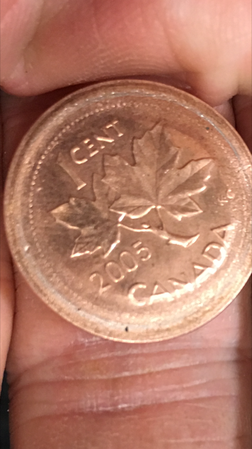 What-Do-You-Think-About-This-Really-Odd-Canada-Error-1964-Penny?