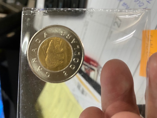 Rotated-Die-Camel-Toe-Toonie