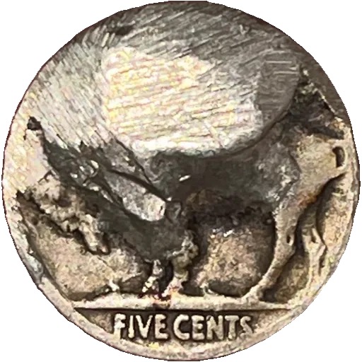Buffalo-Nickel:-Major-Error?
