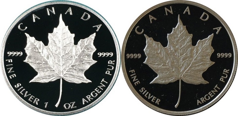Silver-Maple-With-Both-Sides-Showing-The-Reverse