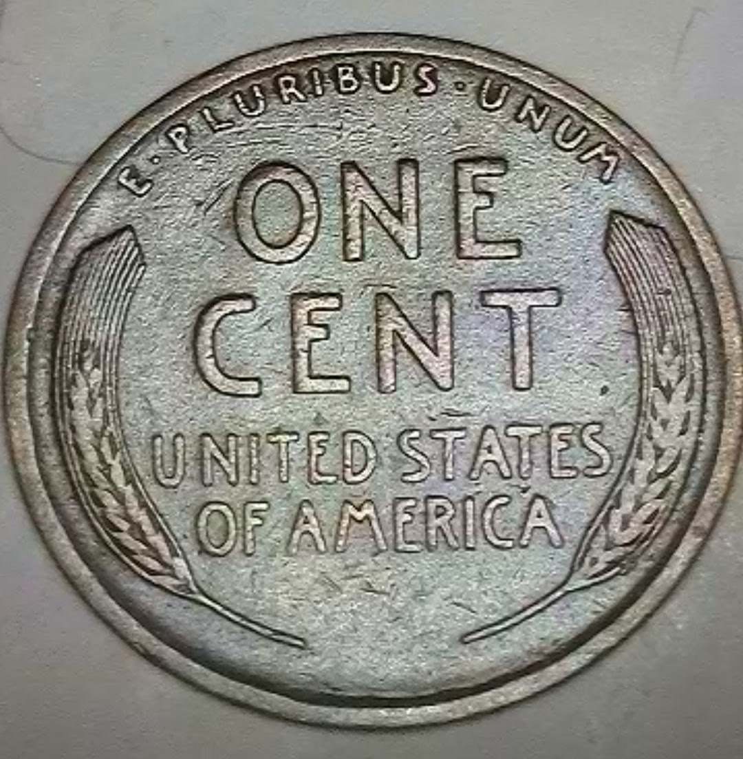 1910-S-Lincoln-Wheat-Cent-For-Grading
