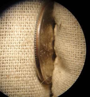 Arizona-Quarter-Broadstruck-/-Partial-Collar?