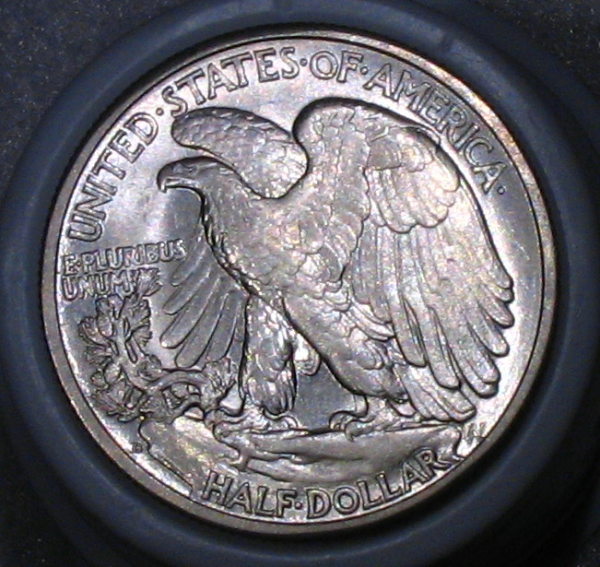 Continuing-List-To-Show-Everyones-Latest-Acquisitions