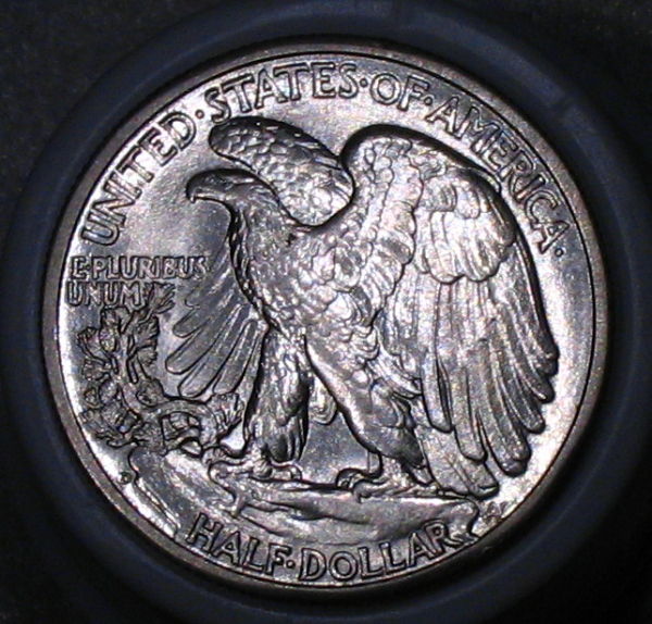 Continuing-List-To-Show-Everyones-Latest-Acquisitions