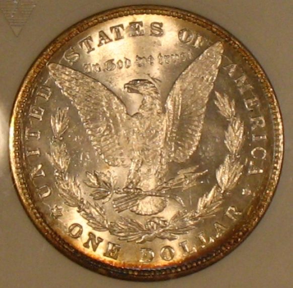 The-28-Days-Of-Morgan-Dollars!-Act-II