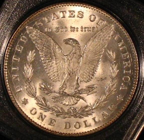 The-28-Days-Of-Morgan-Dollars!-Act-II