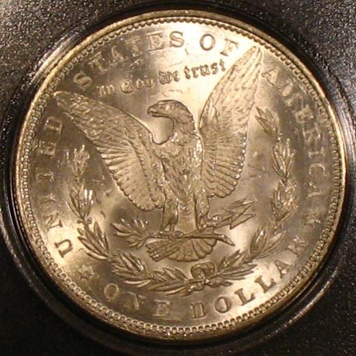 The-28-Days-Of-Morgan-Dollars!-Act-II