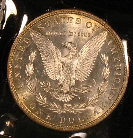 The-28-Days-Of-Morgan-Dollars!-Act-II