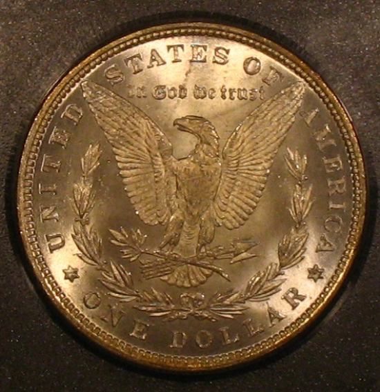The-28-Days-Of-Morgan-Dollars!-Act-II