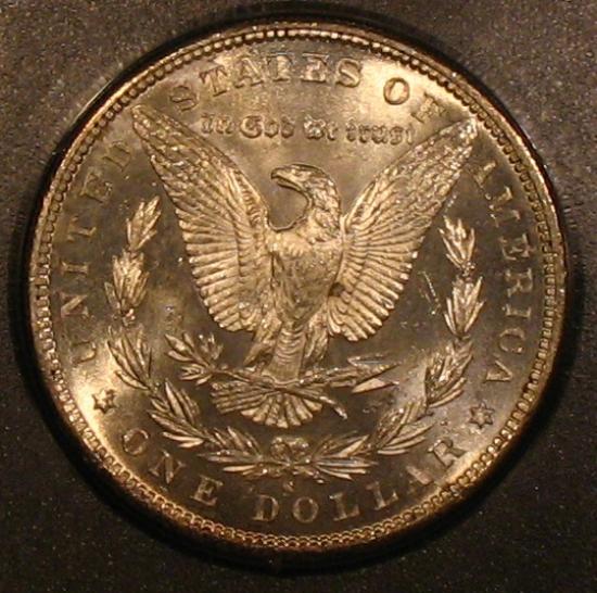 The-28-Days-Of-Morgan-Dollars!-Act-II