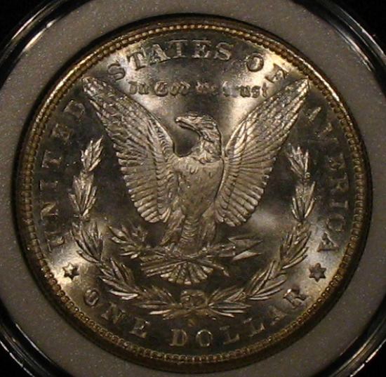 The-28-Days-Of-Morgan-Dollars!-Act-II