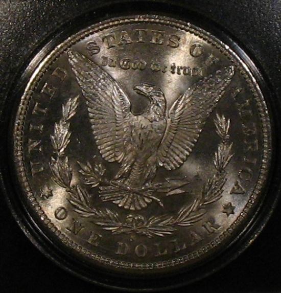 The-28-Days-Of-Morgan-Dollars!-Act-II