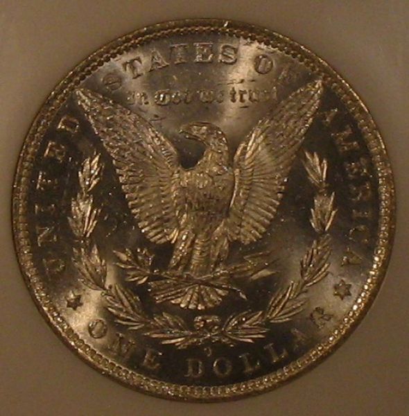 The-28-Days-Of-Morgan-Dollars!-Act-II