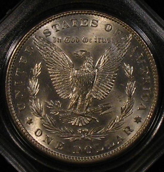 The-28-Days-Of-Morgan-Dollars!-Act-II
