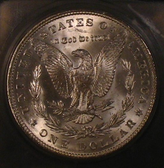 The-28-Days-Of-Morgan-Dollars!-Act-II