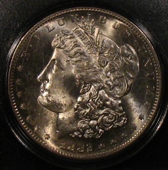 The-1882-S-Morgan-Dollar-Club!