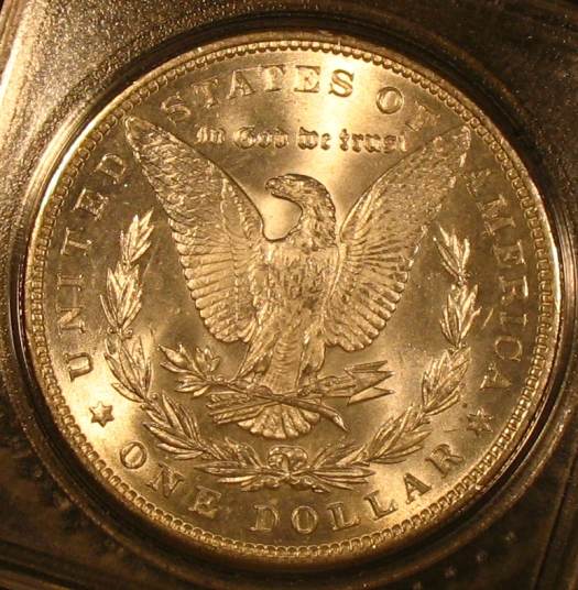 The-28-Days-Of-Morgan-Dollars!-Act-II