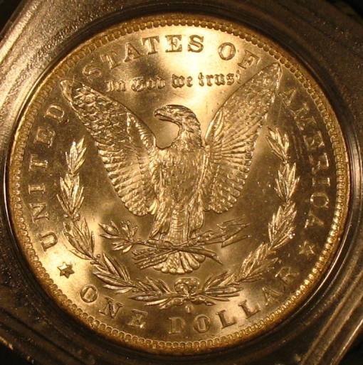 Is-Anyone-Else-A-Sucker-For-Toned-Morgan-Dollars?