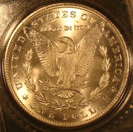 The-28-Days-Of-Morgan-Dollars!-Act-II