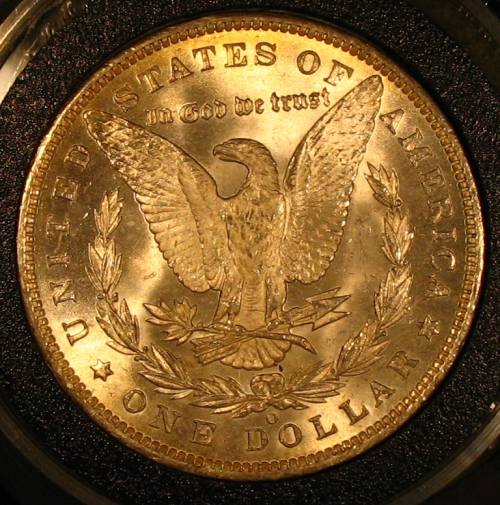 The-28-Days-Of-Morgan-Dollars!-Act-II