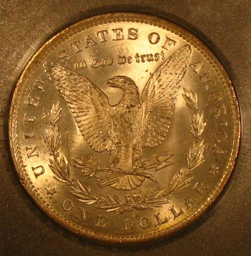 The-28-Days-Of-Morgan-Dollars!-Act-II