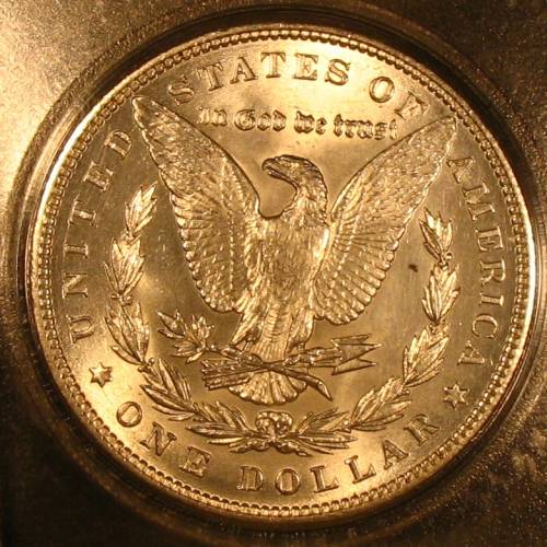 The-28-Days-Of-Morgan-Dollars!-Act-II