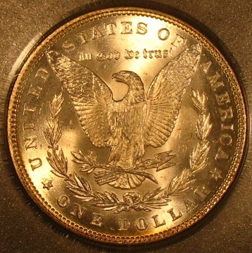 The-28-Days-Of-Morgan-Dollars!-Act-II