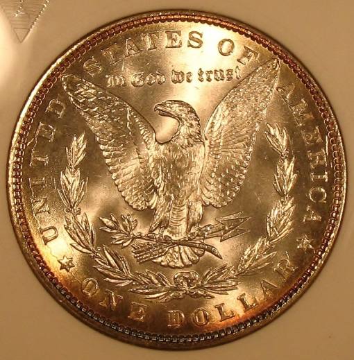 The-28-Days-Of-Morgan-Dollars!-Act-II