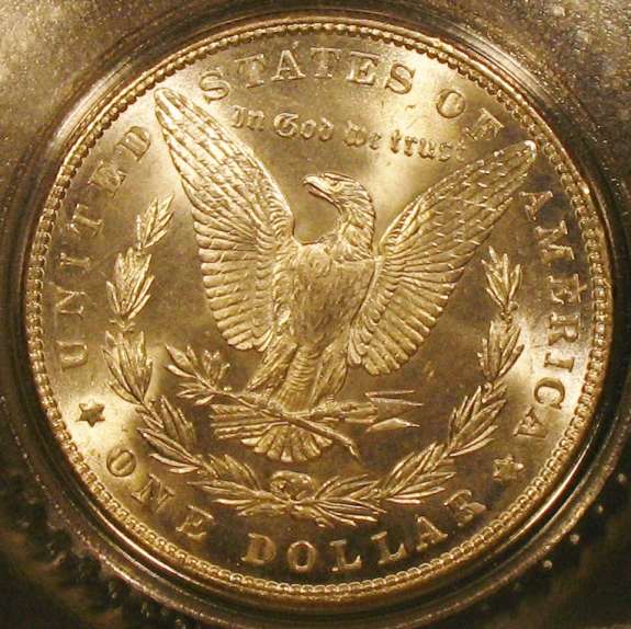 The-28-Days-Of-Morgan-Dollars!-Act-II