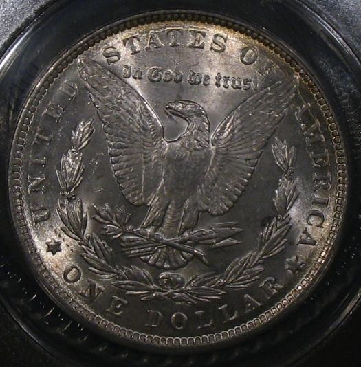 The-28-Days-Of-Morgan-Dollars!-Act-II