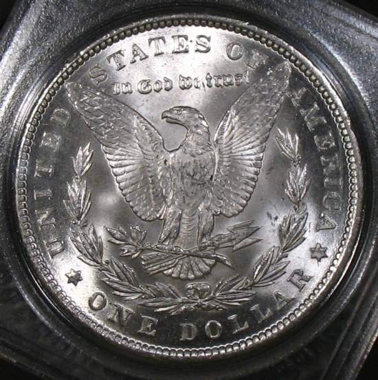 The-28-Days-Of-Morgan-Dollars!-Act-II