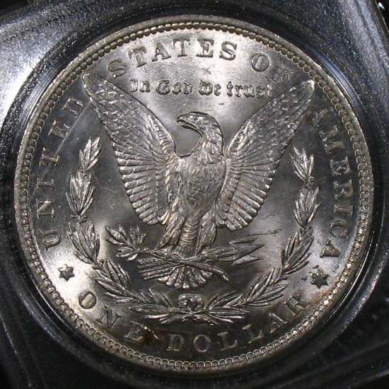 The-28-Days-Of-Morgan-Dollars!-Act-II