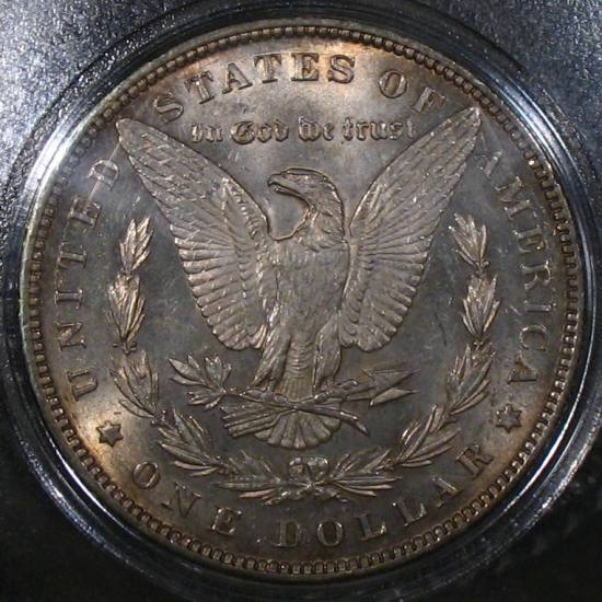 The-28-Days-Of-Morgan-Dollars!-Act-II
