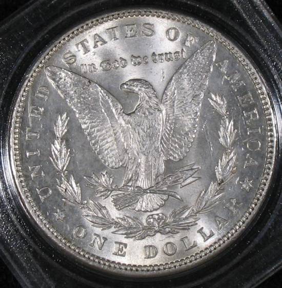 The-28-Days-Of-Morgan-Dollars!-Act-II
