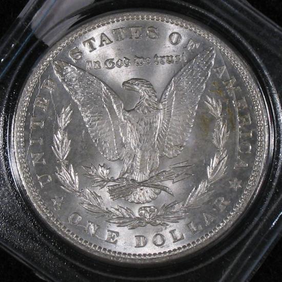 The-28-Days-Of-Morgan-Dollars!-Act-II